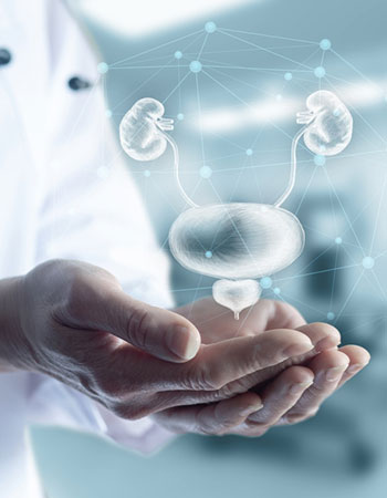 Urologist in Guntur